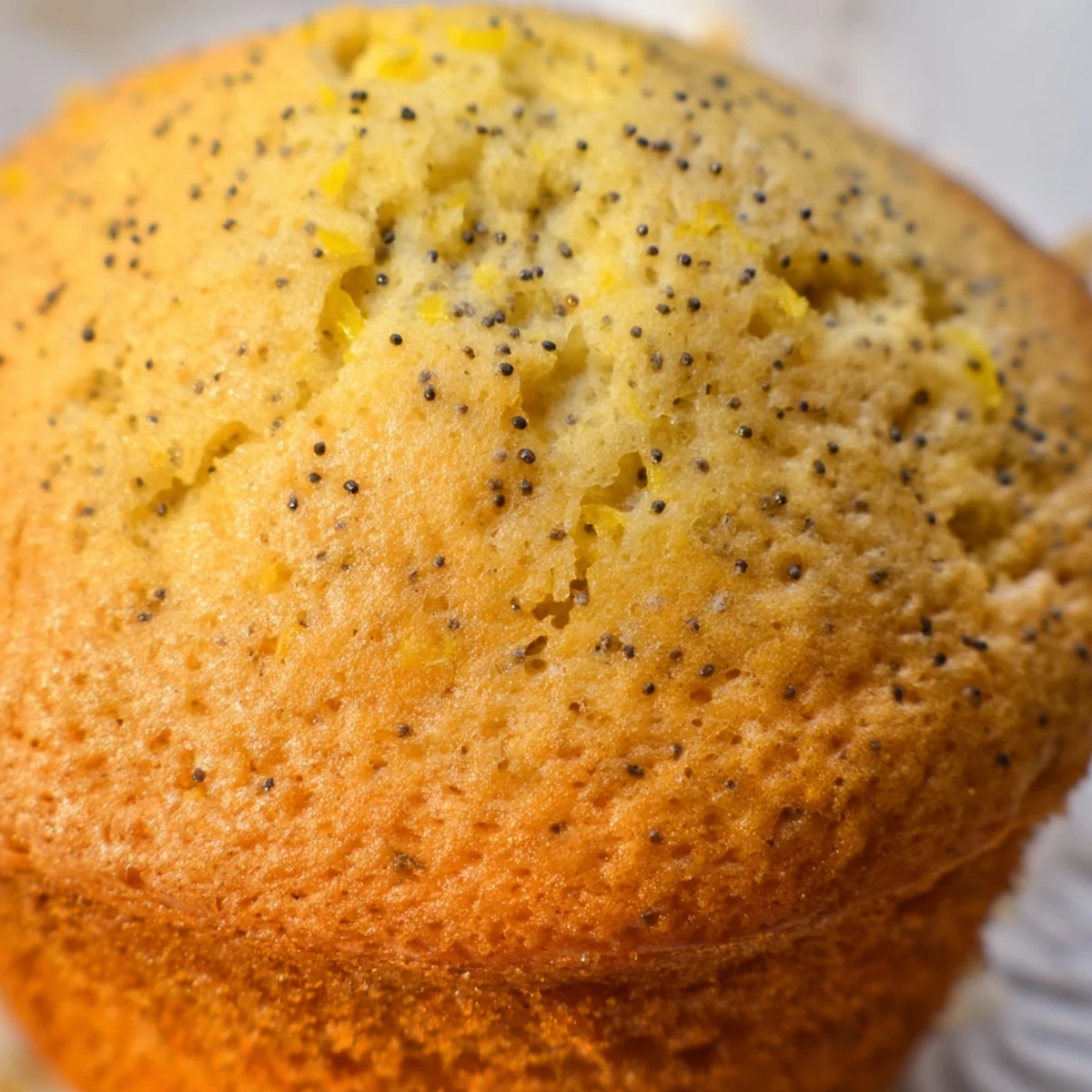 Lemon Poppy Seed Muffins